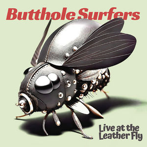 Butthole Surfers - Live at the Leather Fly (2LP Pink Opaque Vinyl)