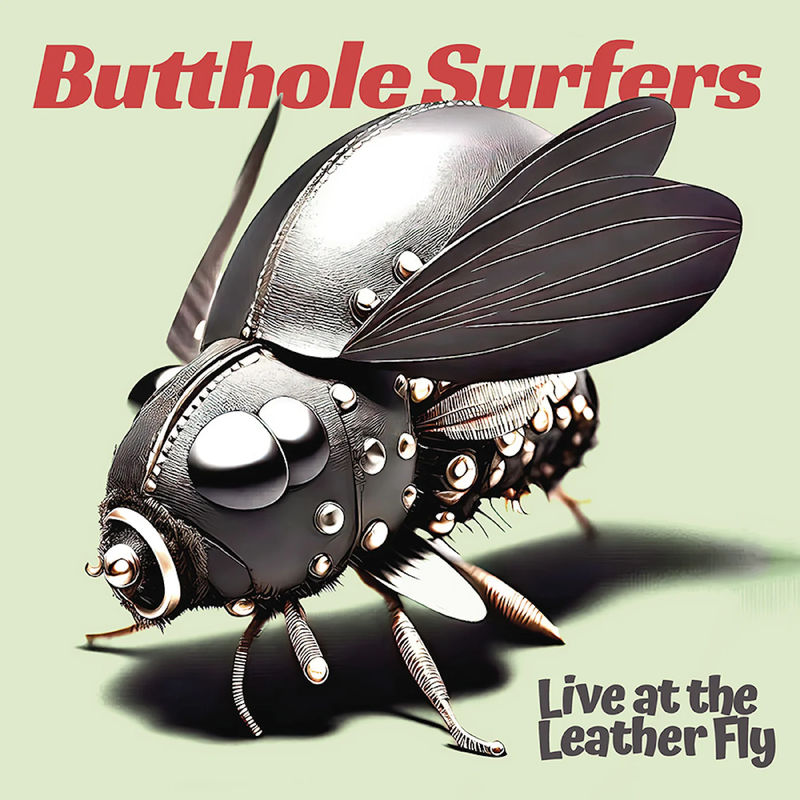 Butthole Surfers - Live at the Leather Fly (2LP Pink Opaque Vinyl)