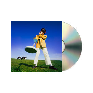 Declan McKenna - What Happened To The Beach? (CD)