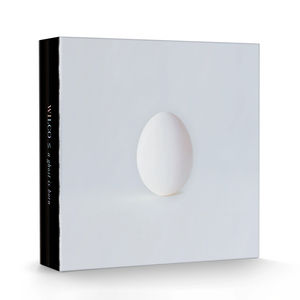 Wilco - A Ghost Is Born (Deluxe Edition) (9 LP, 4 CDs Box Set)