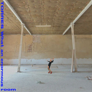TORRES - What an Enormous Room (Indie Exclusive, Blue Jay and White Vinyl LP)