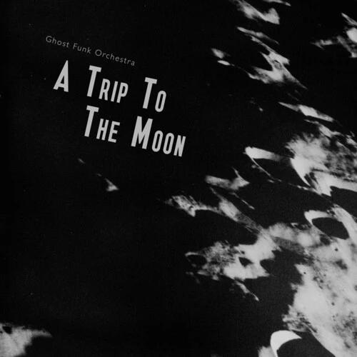 Ghost Funk Orchestra - A Trip To The Moon (Seaglass W/ Black Swirl LP Vinyl)