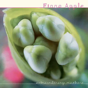 Fiona Apple - Extraordinary Machines (2LP Vinyl)