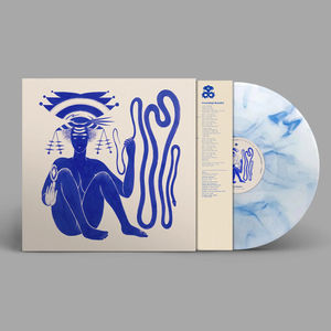Hiatus Kaiyote - Love Heart Cheat Code (Indie Exclusive, Blue & White Marble LP Vinyl)