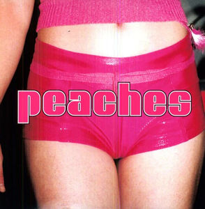Peaches - The Teaches Of Peaches (LP Vinyl)