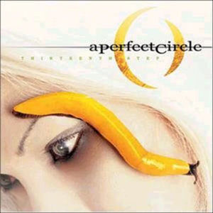 A Perfect Circle - Thirteenth Step (2LP Vinyl)