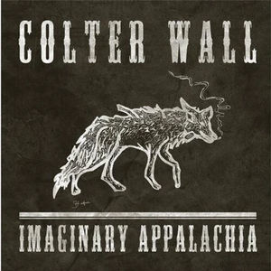 Colter Wall - Imaginary Appalachia (Red LP Vinyl)