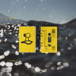 Hippo Campus - Flood (Cassette)