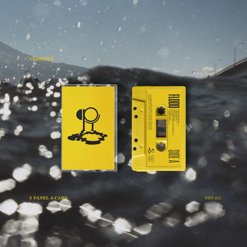 Hippo Campus - Flood (Cassette)