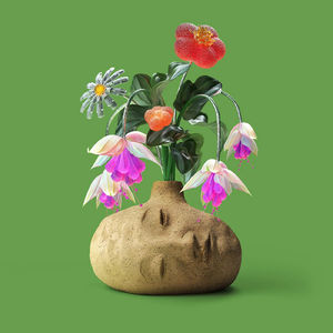 Elephant Gym - Dreams ("Flower Petal" Fuschia LP Vinyl)