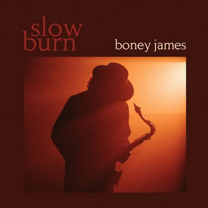 Boney James - Slow Burn (LP Vinyl)