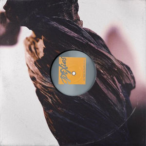Pixies - The Night The Zombies Came (LP Vinyl)