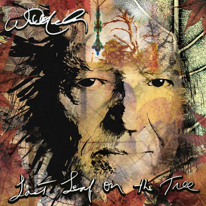 Willie Nelson - Last Leaf On The Tree (2LP Amber Fossil Swirl Vinyl)