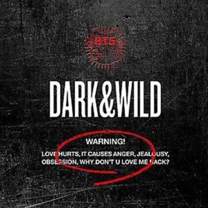 BTS - Dark & Wild Vol.1 (CD, Incl. 102-page photobook and two random photocards)