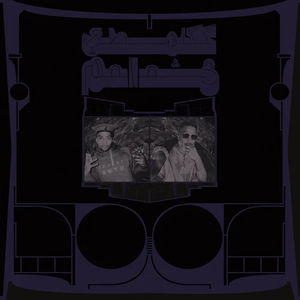 Shabazz Palaces - Exotic Birds of Prey (CD)