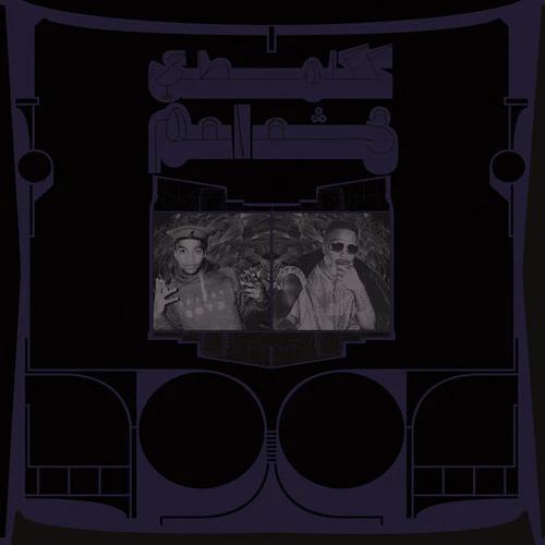 Shabazz Palaces - Exotic Birds of Prey (CD)