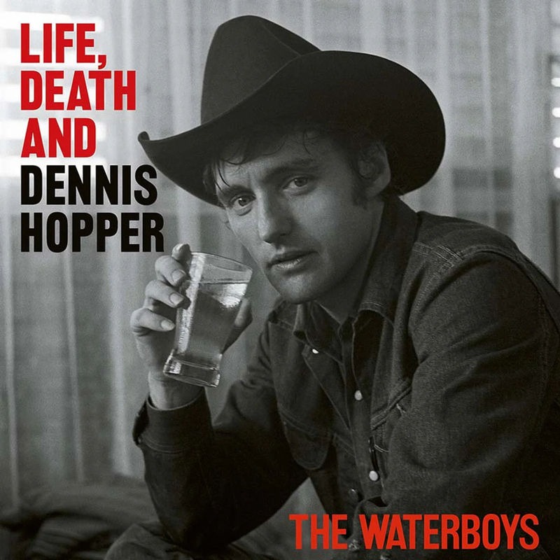 The Waterboys - Life, Death and Dennis Hopper (Indie Exclusive, 2LP Psychedelic Waves Color Vinyl)