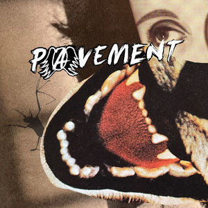 Pavement - Hecklers Choice: Big Gums and Heavy Lifters - A Pavement Collection (LP Vinyl)