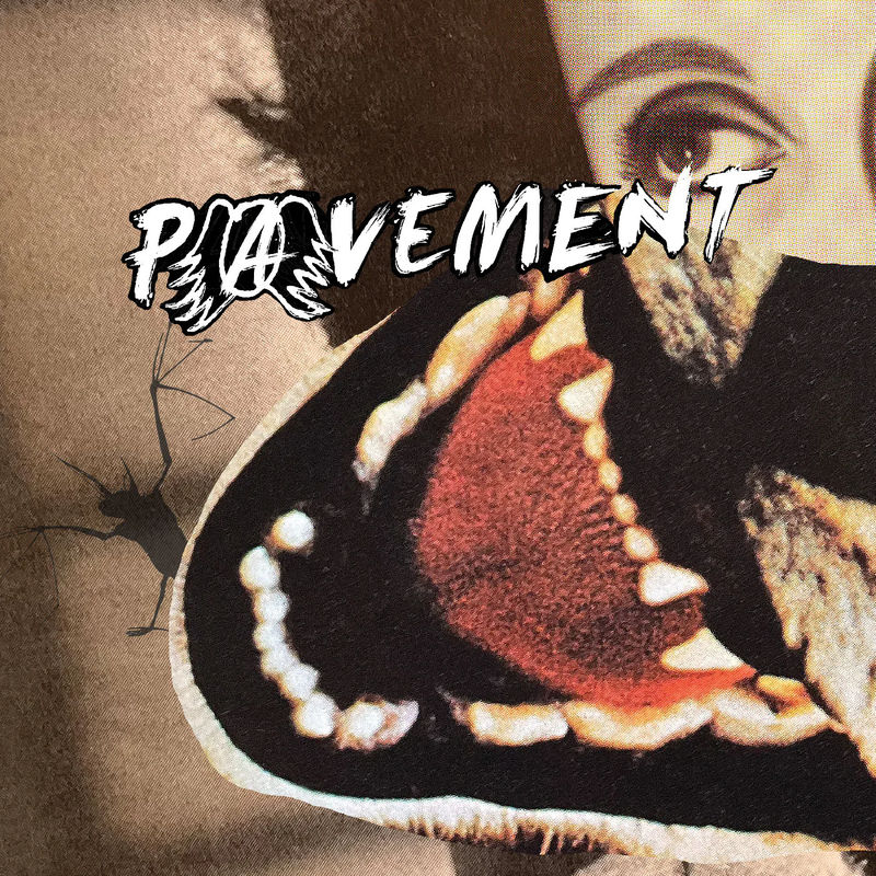 Pavement - Hecklers Choice: Big Gums and Heavy Lifters - A Pavement Collection (LP Vinyl)