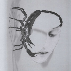 Tortoise - Touch (Black LP Vinyl)