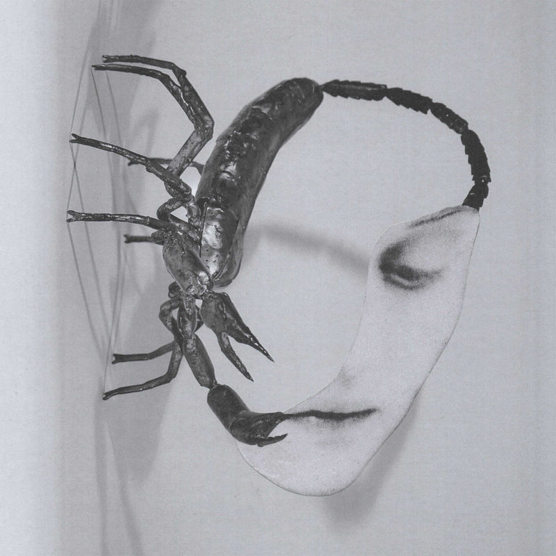 Tortoise - Touch (CD)