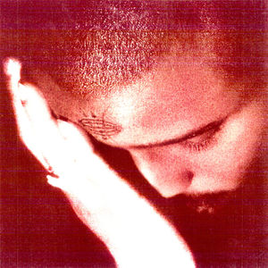 Nourished by Time - The Passionate Ones (CD)