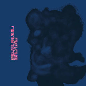 Pino Palladino & Blake Mills - That Wasn't A Dream (LP Vinyl)