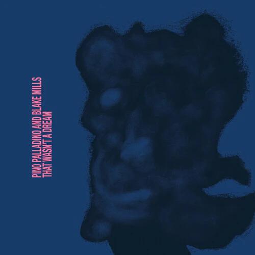 Pino Palladino & Blake Mills - That Wasn't A Dream (LP Vinyl)