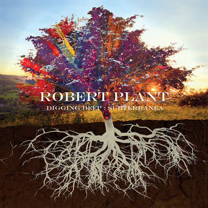 Robert Plant - Digging Deep: Subterranea (2CDs)