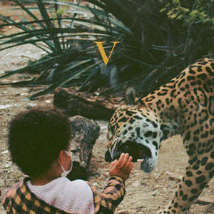 Unknown Mortal Orchestra - V (Golden Nugget Vinyl)