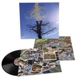 Laetitia Sadier - Rooting For Love (LP Vinyl)