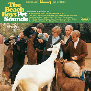 The Beach Boys ‎– Pet Sounds (LP Vinyl, Stereo)