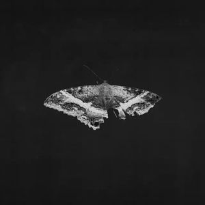 Kendrick Lamar - To Pimp A Butterfly (10 Year Anniversary Edition) - (Indie Exclusive Alternate Artwork) [2LP Metallic Blend Vinyl]