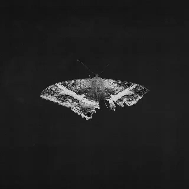 Kendrick Lamar - To Pimp A Butterfly (10 Year Anniversary Edition) - (Indie Exclusive Alternate Artwork) [2LP Metallic Blend Vinyl]