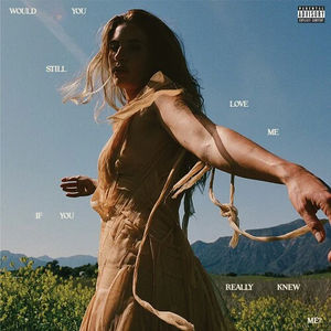 Fletcher - Would You Still Love Me If You Really Knew Me? (LP Vinyl)