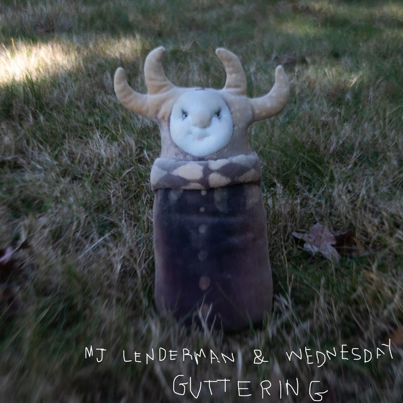 MJ Lenderman & Wednesday - Guttering (EP Vinyl)