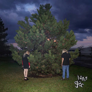 100 Gecs -1000 Gecs (LP Vinyl)