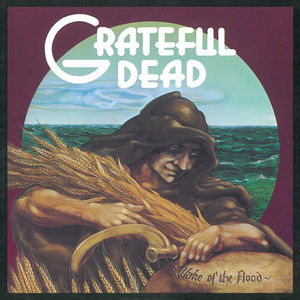 The Grateful Dead - Wake Of The Flood (50th Anniversary Remaster, LP Vinyl)