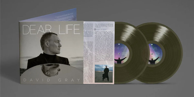 David Gray - Dear Life (Seaweed Green LP Vinyl)