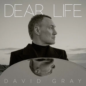 David Gray - Dear Life (Seaweed Green LP Vinyl)