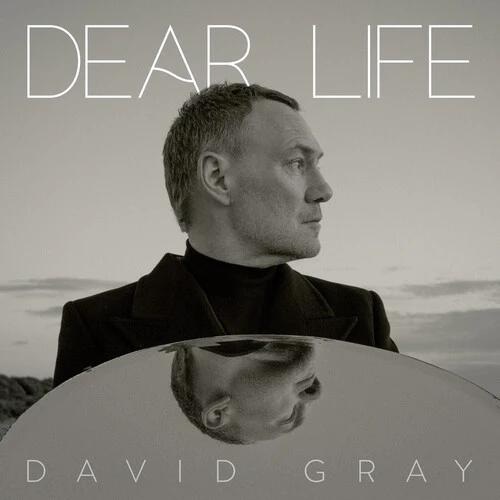 David Gray - Dear Life (Seaweed Green LP Vinyl)