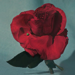 METZ - Up on Gravity Hill (Clear w/ Red LP Vinyl)