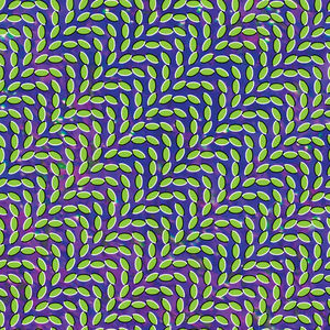 Animal Collective - Merriweather Post Pavilion (15-Year Anniversary Repress, 2LP Bluish & Translucent Green Vinyl)