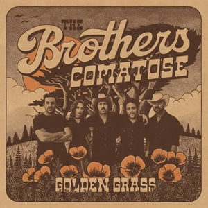 The Brothers Comatose - Golden Grass (Splatter LP Vinyl)