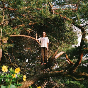Packs - Melt The Honey (Gold LP Vinyl)