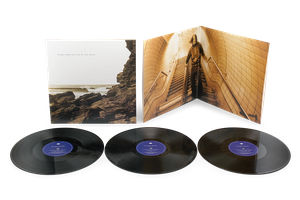 Polygon Window - Surfing On Sine Waves (Expanded Edition) (3LP Vinyl)
