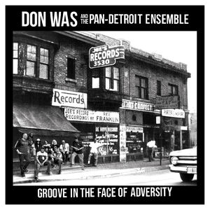 Don Was - Groove In The Face Of Adversity (LP Vinyl)
