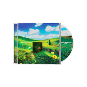 Rainbow Kitten Surprise - Bones (CD)