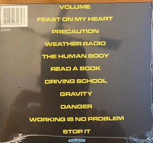 Pylon  - Gyrate (CD) (NM or M-, VG+)