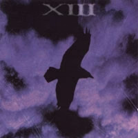 XIII  - Salt (CD) (NM or M-, VG+)